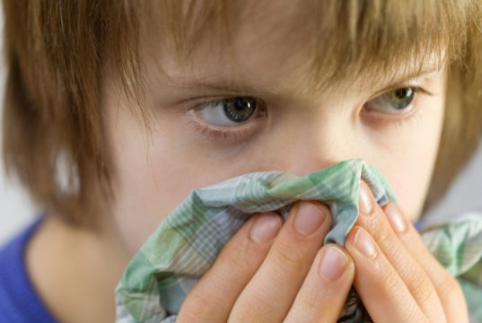 EarthTalkIndoorAirAllergies