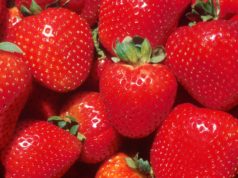 strawberry