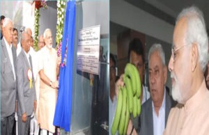 CM inaugurated first Krishi Mall in Surat CM agro