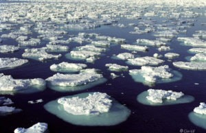 Is Antartica Really Melting and its impact eantartical