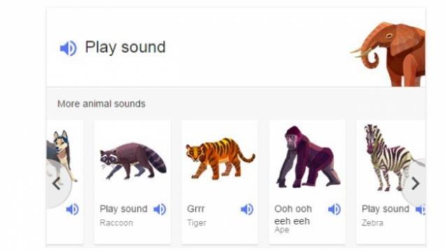 Google search now teaches animal sounds | Kidsfreesouls | Newspaper for  Kids with Resources for Parents and Teachers